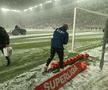Imagini înainte de Rapid - Botoșani, runda #27 din Superliga