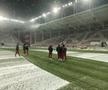 Imagini înainte de Rapid - Botoșani, runda #27 din Superliga