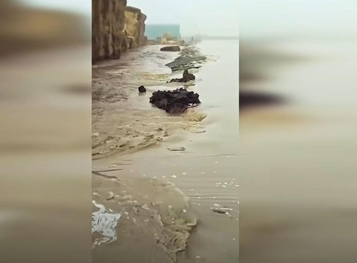 Ferma lui Gigi Nețoiu a fost inundată