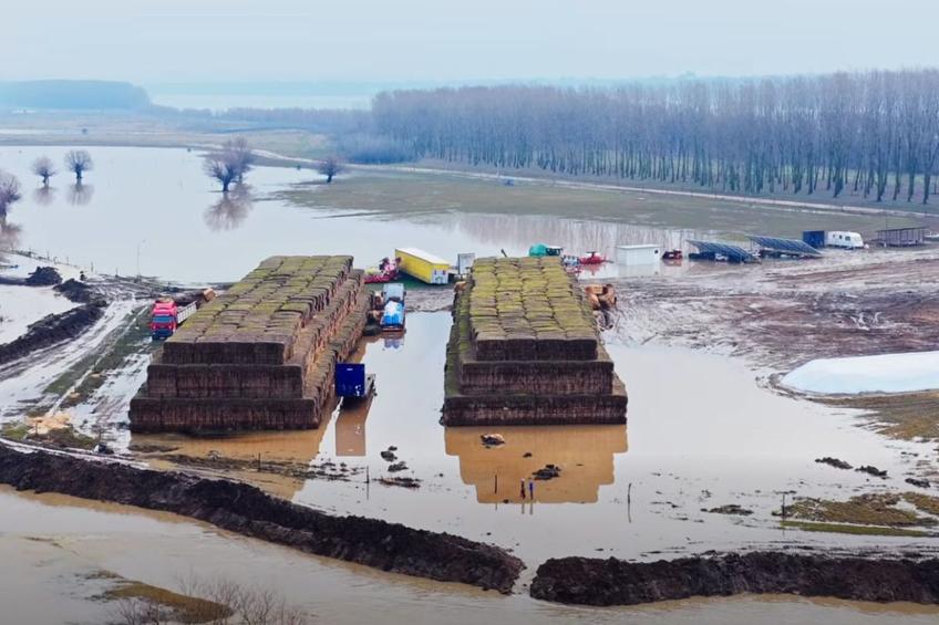 Ferma lui Gigi Nețoiu a fost inundată / Foto: Facebook Gigi Nețoiu