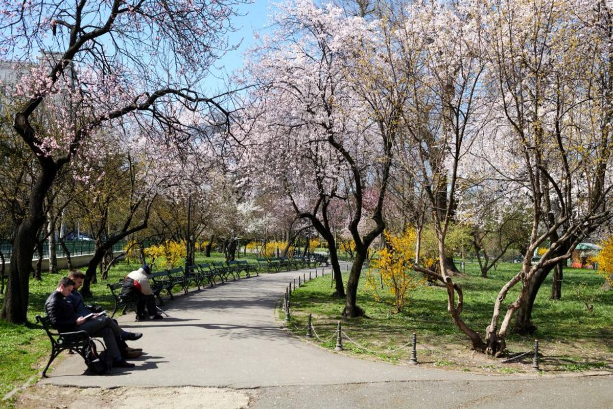 CORONAVIRUS. FOTO București, un oraș pustiu » Imagini surprinse azi: fotoreporterul GSP a luat străzile la pas