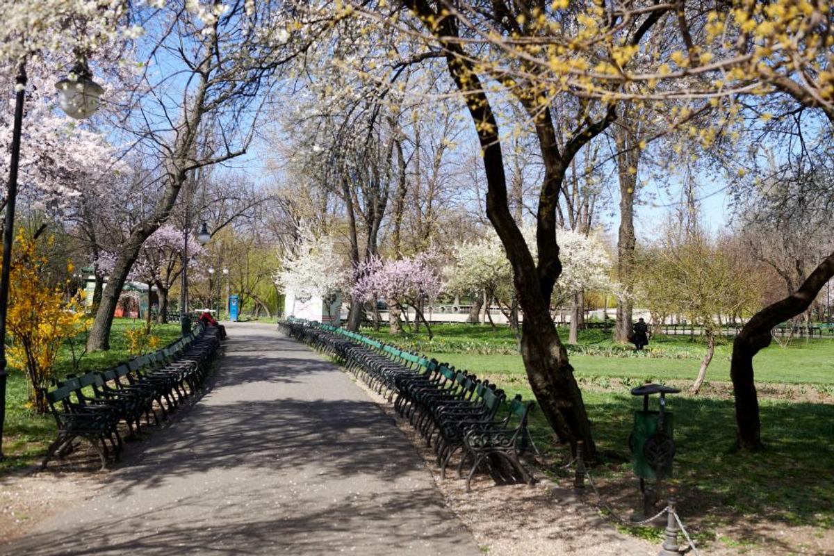 CORONAVIRUS. FOTO București, un oraș pustiu » Imagini surprinse azi: fotoreporterul GSP a luat străzile la pas