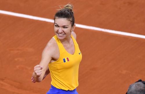 Simona Halep, la FED Cup