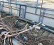 Patinoar Olimpia Ploiești - abandonat