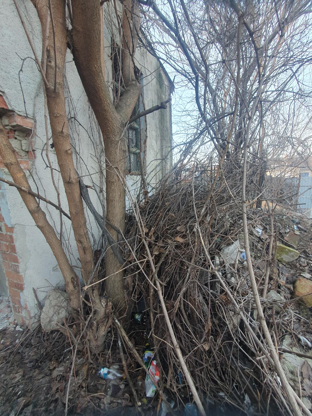 Bazin Vega Ploiești ruină