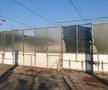 Patinoar Olimpia Ploiești - abandonat