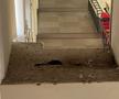 Probleme la Sala Sporturilor din Constanța / FOTO: Facebook @HoriaConstantinescuANPC