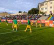 FC Botoșani - CS Mioveni, baraj promovare / menținere. foto: Ionuț Tăbultoc