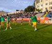 FC Botoșani - CS Mioveni, baraj promovare / menținere. foto: Ionuț Tăbultoc