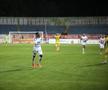 FC Botoșani - CS Mioveni, baraj promovare / menținere. foto: Ionuț Tăbultoc