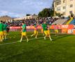 FC Botoșani - CS Mioveni, baraj promovare / menținere. foto: Ionuț Tăbultoc