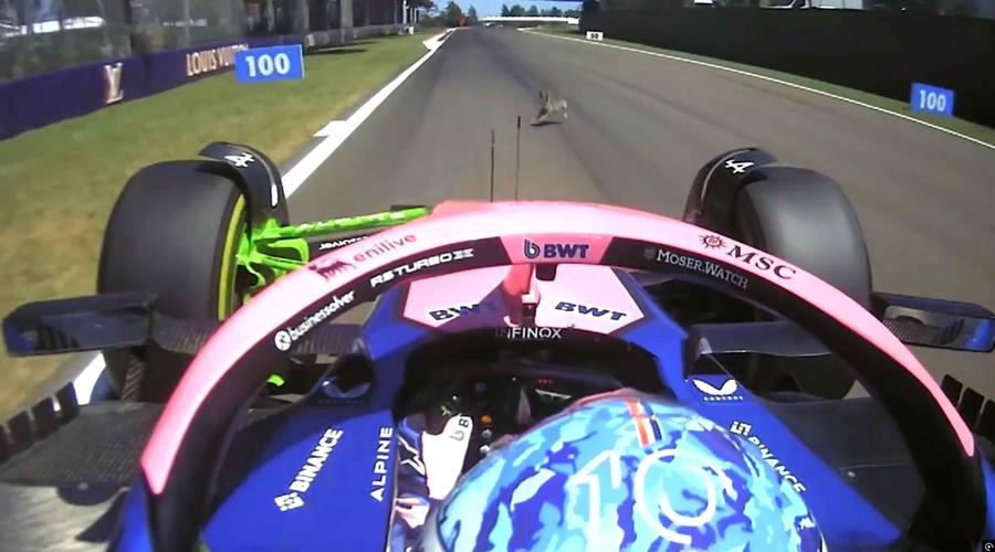 Foto: X. com Gasly a dezvăluit un incident trist din timpul antrenamentului de la Imola: „Nu aveam cum să-l evit”