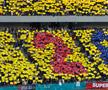 FCSB, campioană Superligă 2024-2025. Foto: Andrei Crăițoiu (GSP.RO)