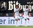 Clubul dintr-un oraș cu 13.000 de locuitori a promovat pentru prima dată în Bundesliga!