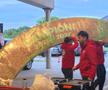 Oltenii au aprins peluza la meciul de titlu din Bănie! Demersul organizatorilor, imediat după golul de 2-0