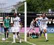 Clubul dintr-un oraș cu 13.000 de locuitori a promovat pentru prima dată în Bundesliga!