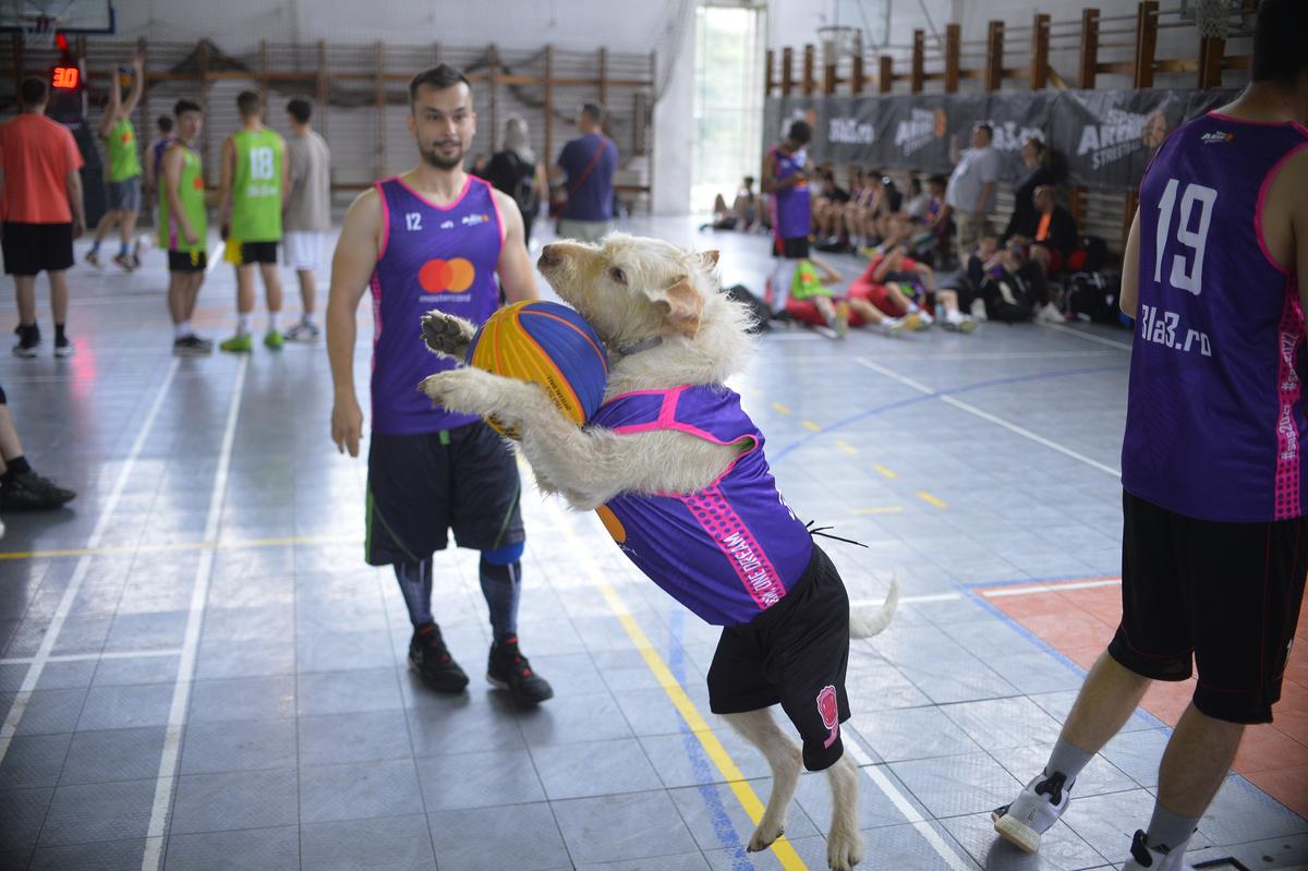 3X3 Constanta