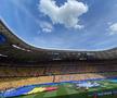 Imagini surprinse pe stadion, la România - Ucraina FOTO: Andrei Crăițoiu (GSP)