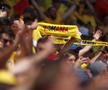 Imagini surprinse pe stadion, la România - Ucraina / foto: Guliver/Getty Images