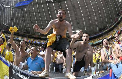 10 detalii observate de pe stadion la România - Ucraina » Țiriac, Lucescu și câinii care au intrat în vestiar
