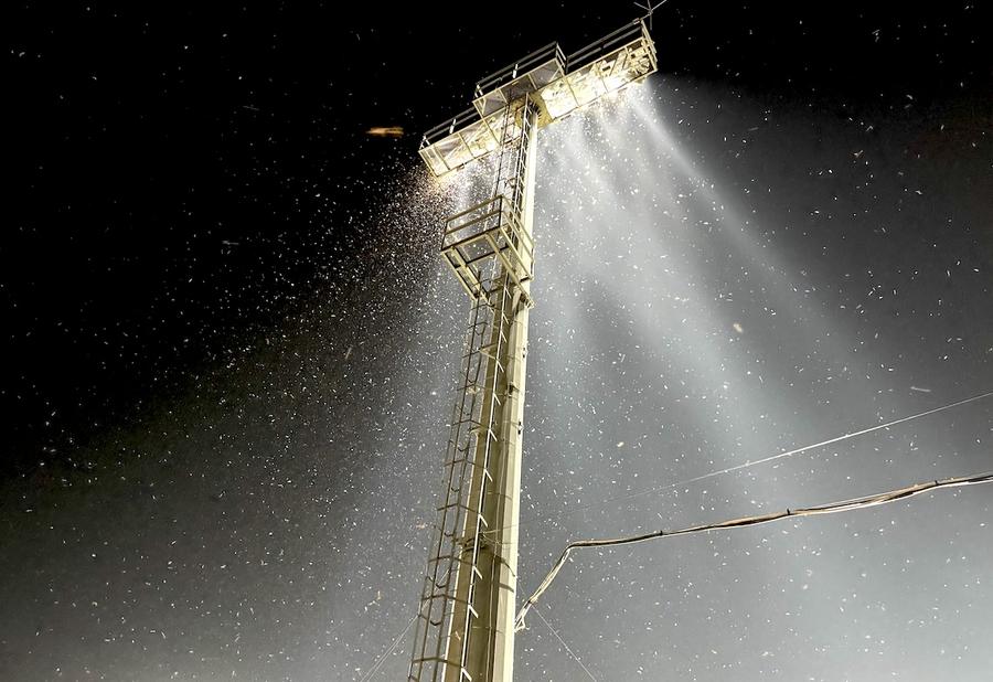 Invazie de insecte la meciul România U19 – Spania U19, de la Voluntari Cât costă unul dintre eroii României U19: e pe radarul Superligii