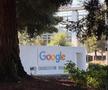 Silicon Valley