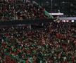 Imagini cu atmosfera de la meciul Austria - Iordania FOTO: Ionuț Iordache (GSP)