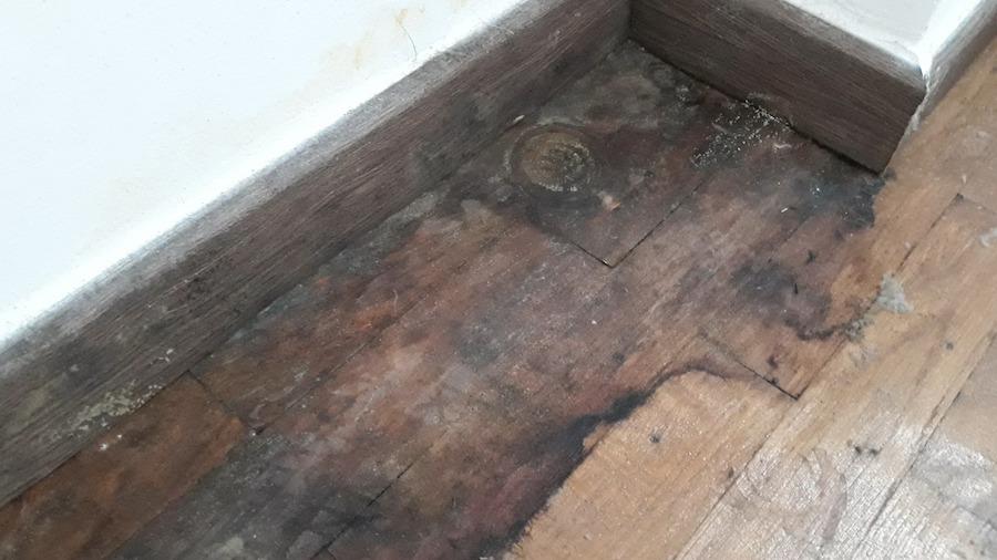 Doar una dintre pozele cu parchetul infiltrat cu apă. VIDEO Oficialul FRF, Aurel Țicleanu, și o judecătoare condamnată recent pentru luare de mită, acuzați de înșelăciune de un fost voleibalist: “M-au lăsat fără munca mea de o viață”
