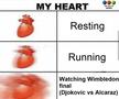 Carlos Alcaraz - Novak Djokovic, un meci interzis cardiacilor