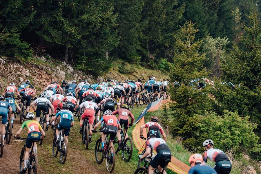 Auchan susține viitorii campioni ai ciclismului european la Cheile Grădiștei, gazda Campionatului European de MTB pentru Tineret