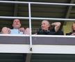 Dan Petrescu, prezent la FC Voluntari - FC Botoșani / Foto: Andrei Furnigă GSP