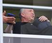 Dan Petrescu, prezent la FC Voluntari - FC Botoșani / Foto: Andrei Furnigă GSP