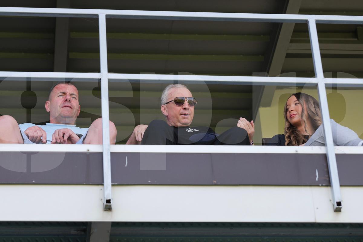 Dan Petrescu, prezent la FC Voluntari - FC Botoșani / Foto: Andrei Furnigă GSP