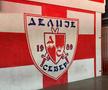 Stadionul pe care joacă Steaua Roșie Belgrad