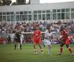 FC Botoșani – UTA Arad 1-0 / Foto: Ionuț Tăbultoc