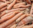 Cum va arăta mâncarea viitorului: „Abia aștept să folosim inteligența artificială în agricultură!” + Diferența dintre legumele obișnuite și cele bio