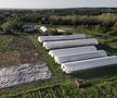 Cum va arăta mâncarea viitorului: „Abia aștept să folosim inteligența artificială în agricultură!” + Diferența dintre legumele obișnuite și cele bio