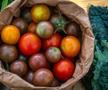 Cum va arăta mâncarea viitorului: „Abia aștept să folosim inteligența artificială în agricultură!” + Diferența dintre legumele obișnuite și cele bio