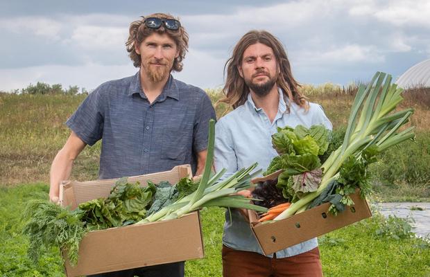 Cum va arăta mâncarea viitorului: „Abia aștept să folosim inteligența artificială în agricultură!” + Diferența dintre legumele obișnuite și cele bio
