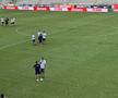 Cum arată gazonul de pe „Arcul de Triumf”, înainte de FCSB - FC Botoșani