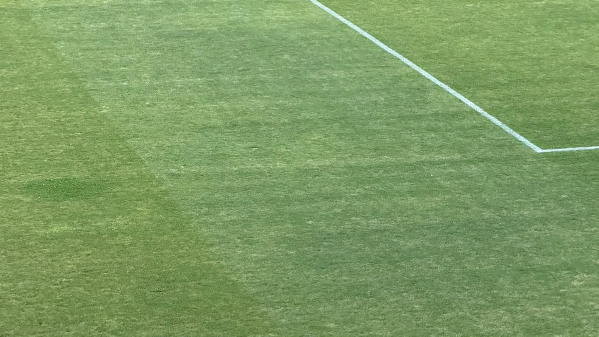Cum arată gazonul de pe „Arcul de Triumf”, înainte de FCSB - FC Botoșani