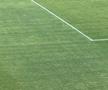 Cum arată gazonul de pe „Arcul de Triumf”, înainte de FCSB - FC Botoșani