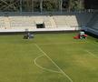 Gazonul de pe Arcul de Triumf, înainte de FCSB - Botoșani