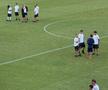 Cum arată gazonul de pe „Arcul de Triumf”, înainte de FCSB - FC Botoșani