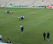 Cum arată gazonul de pe „Arcul de Triumf”, înainte de FCSB - FC Botoșani