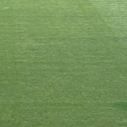 Cum arată gazonul de pe „Arcul de Triumf”, înainte de FCSB - FC Botoșani