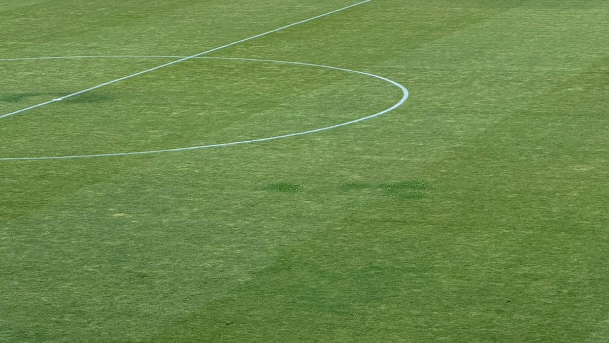 Cum arată gazonul de pe „Arcul de Triumf”, înainte de FCSB - FC Botoșani