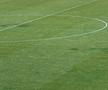 Cum arată gazonul de pe „Arcul de Triumf”, înainte de FCSB - FC Botoșani