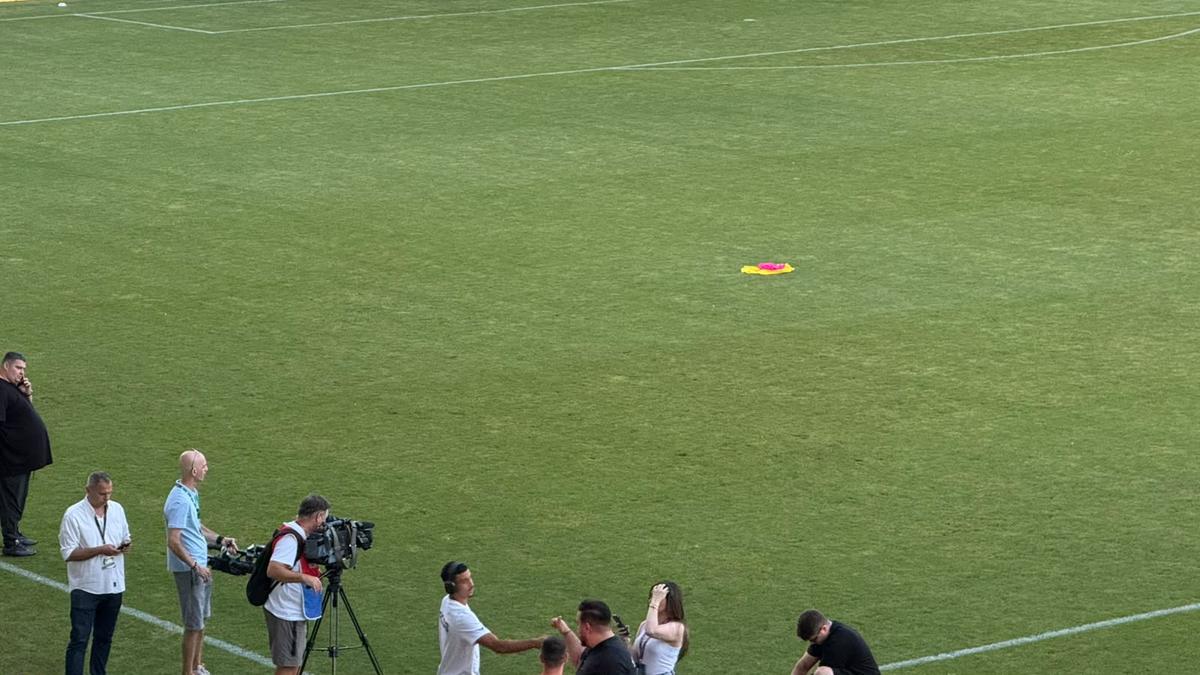 Risc de accidentări! Gazonul de pe „Arcul de Triumf” arată groaznic, înainte de FCSB - FC Botoșani