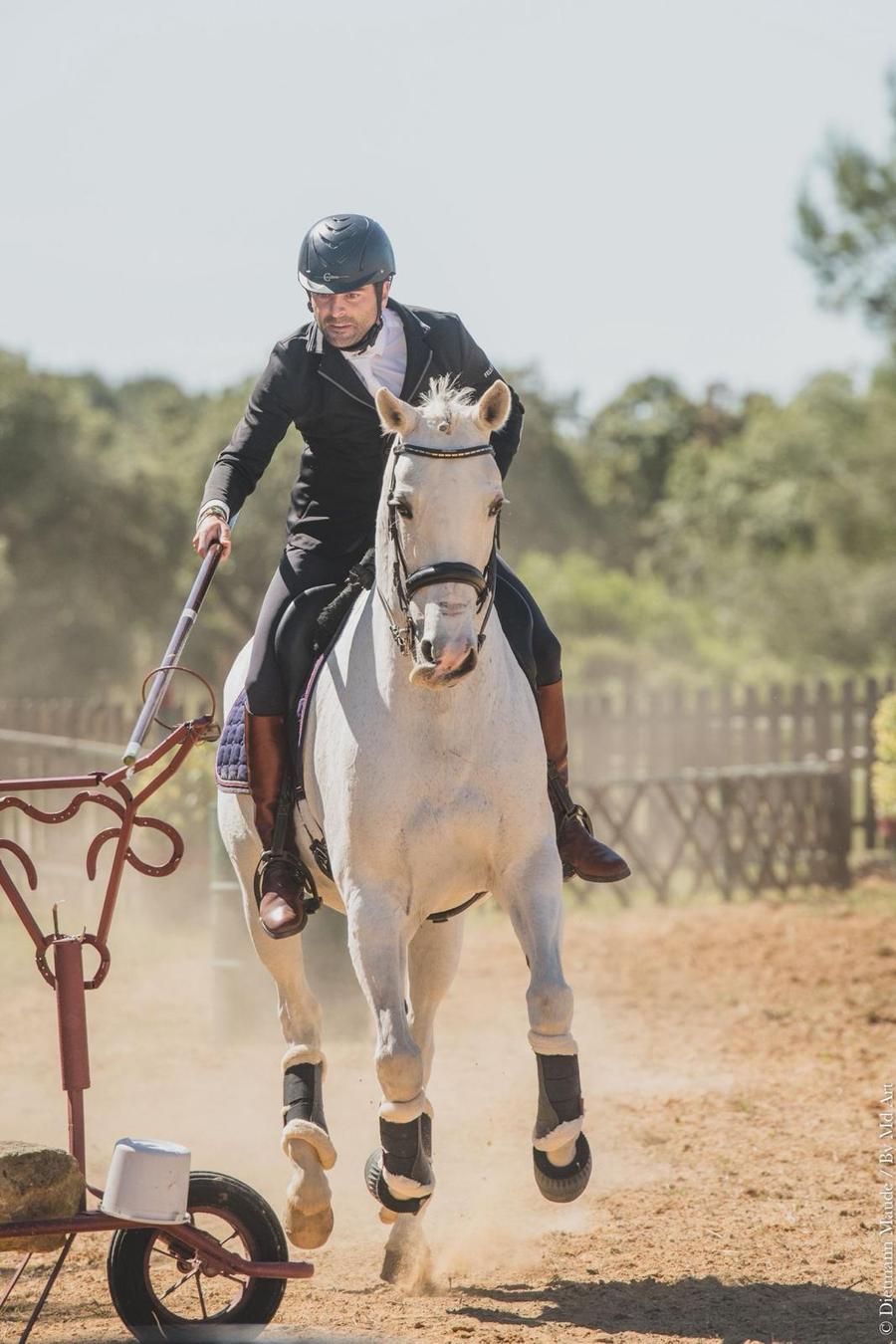 Premieră pentru echipa ecvestră ISSA Resort: doi sportivi vor concura la Campionatul Mondial de Working Equitation 2026